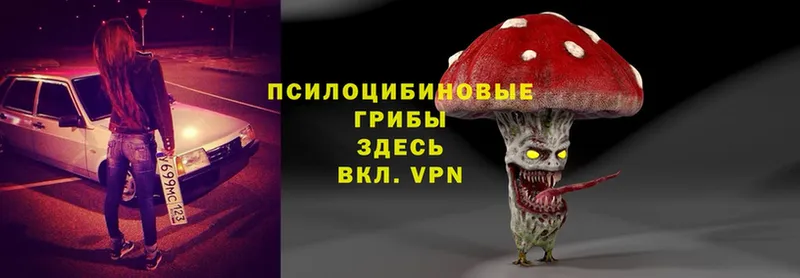 Псилоцибиновые грибы Magic Shrooms  Ак-Довурак 